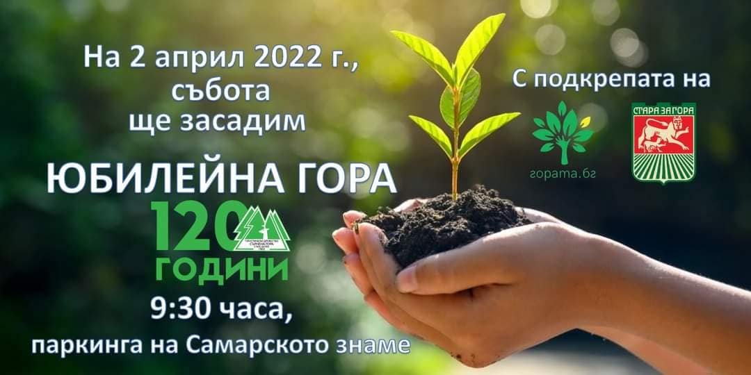 1iwstzb020422
