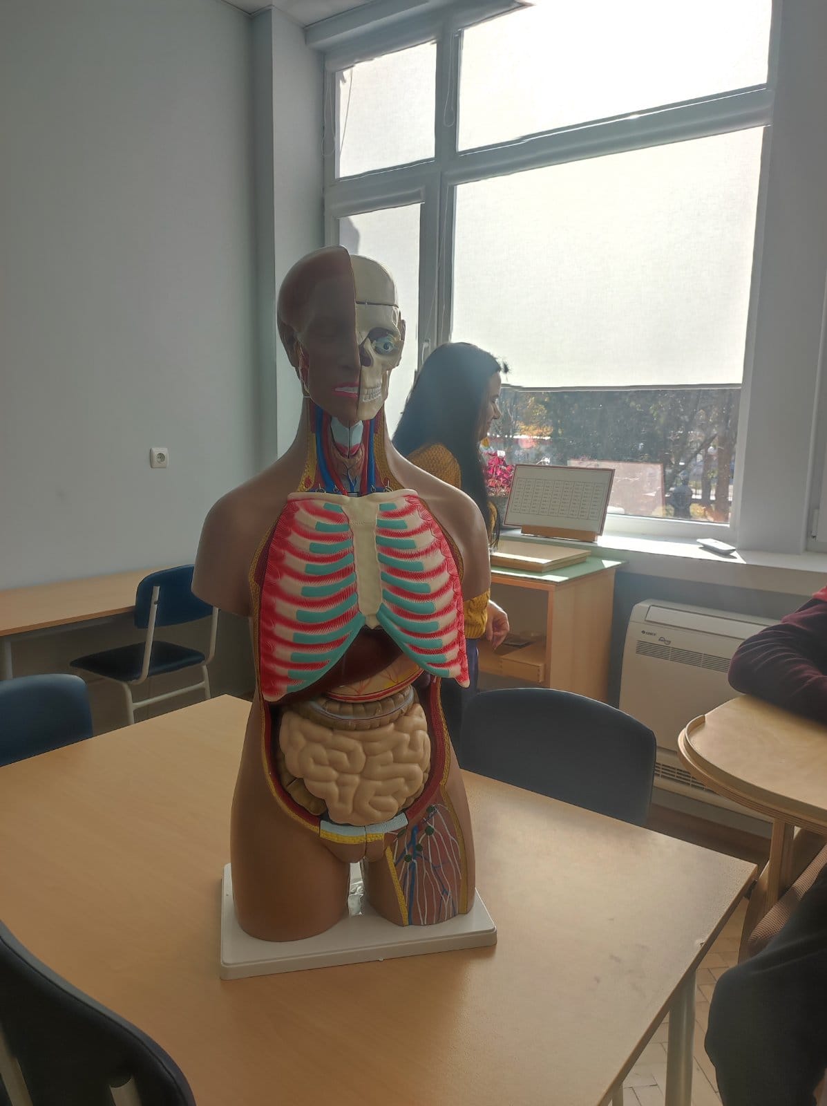 svdom3