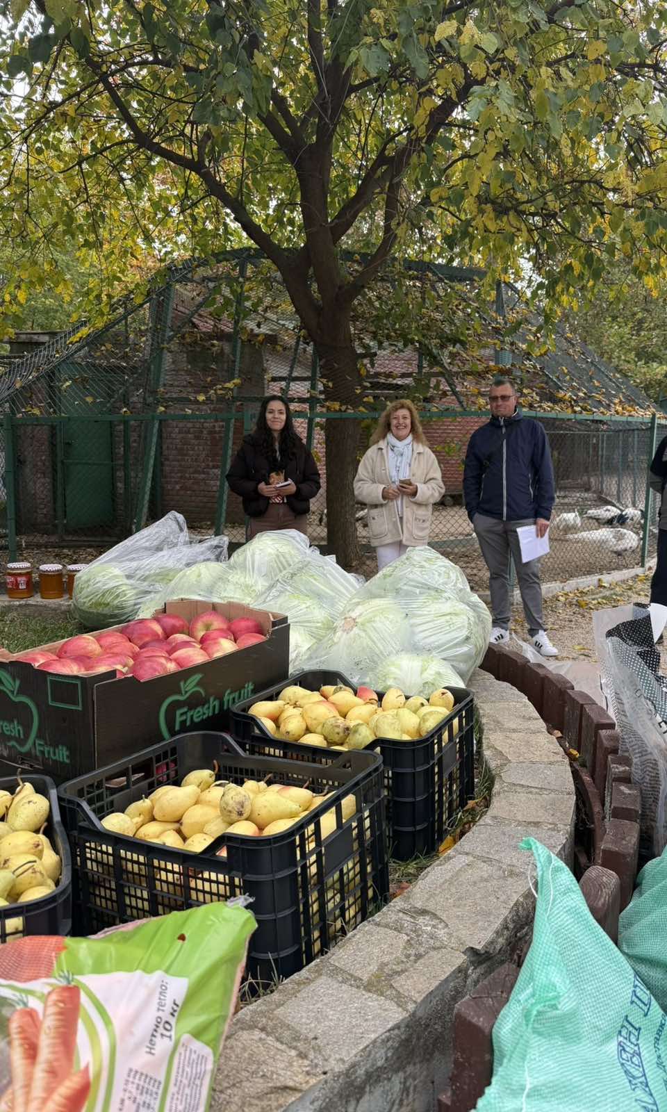 Щастливи лапички2