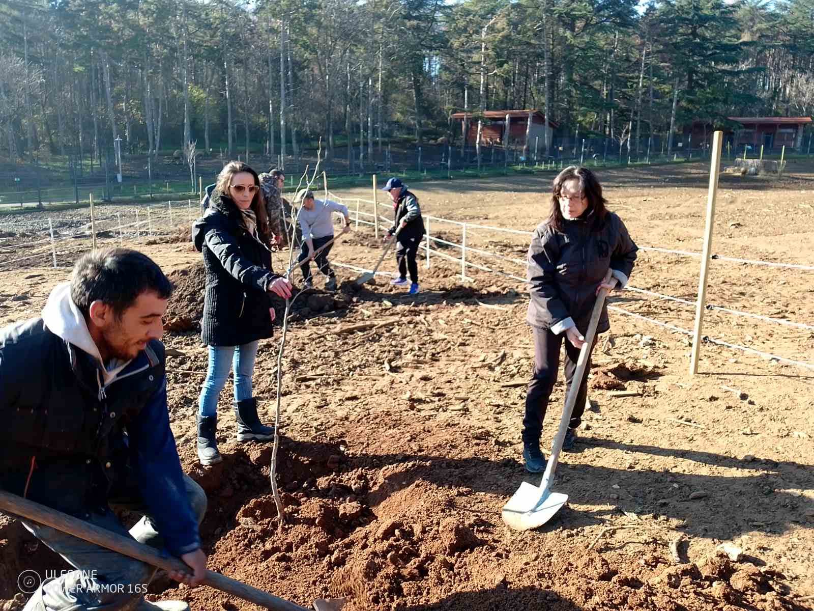 Посади добро остави зелена следа